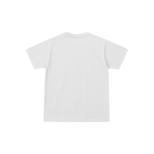 t-shirt 2b.psd