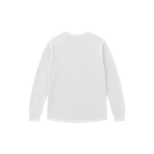 ls raglan b.psd